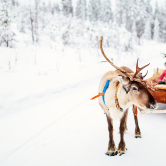 soin polaire toulouges 66